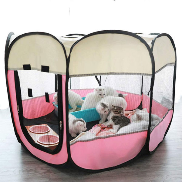 Tenda portátil para cães e gatos